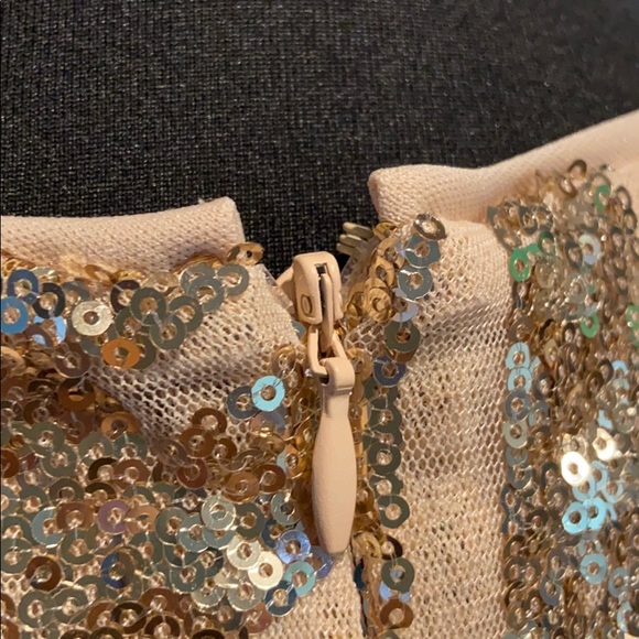 *SOLD* Sequined, fringe, gold party dress 2X - Picture 7 of 8